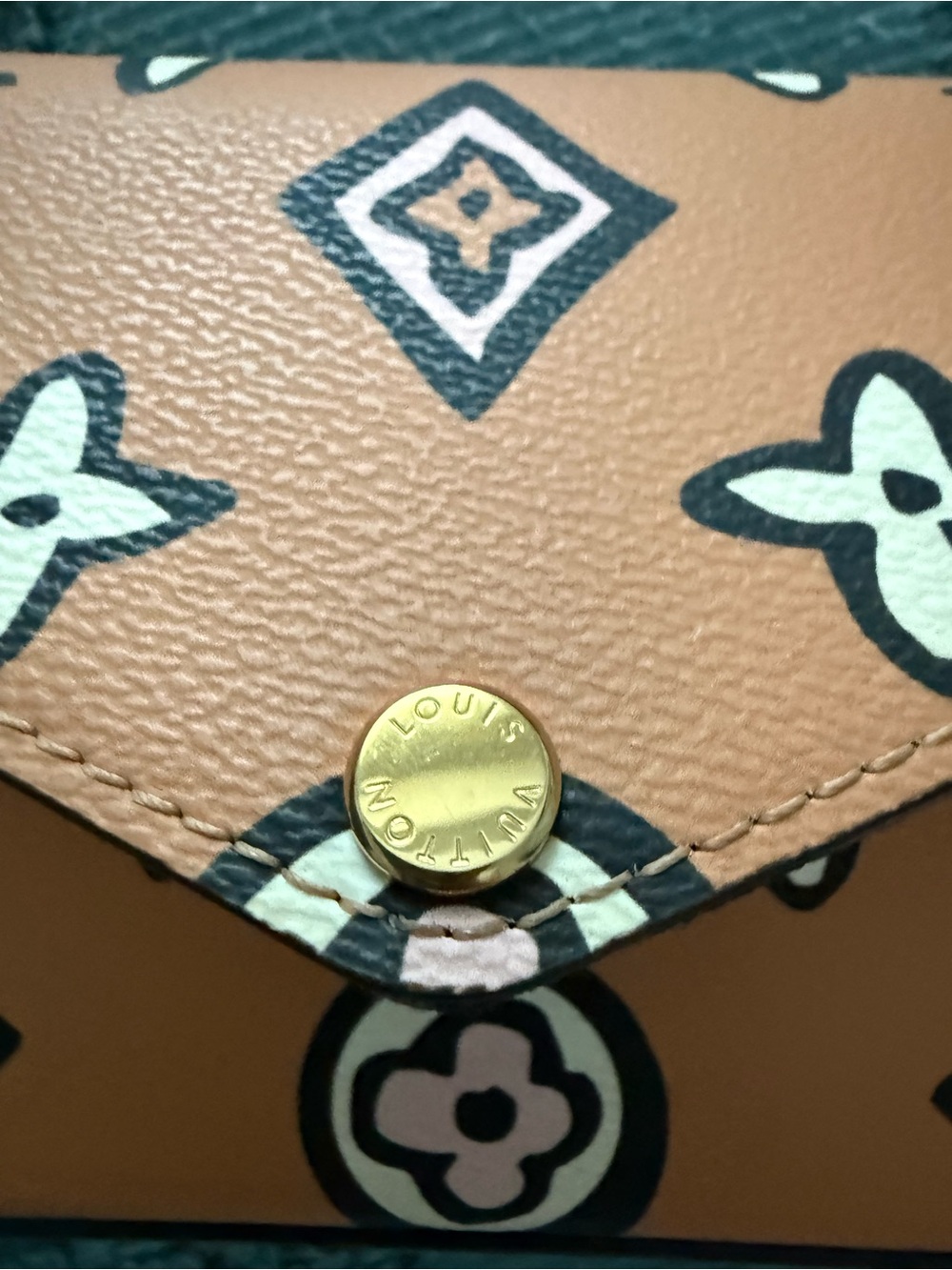 Felicie strap & go multicolor Monogram Crossbody Shoulder Bag with Green Strap - Picture 6 of 13